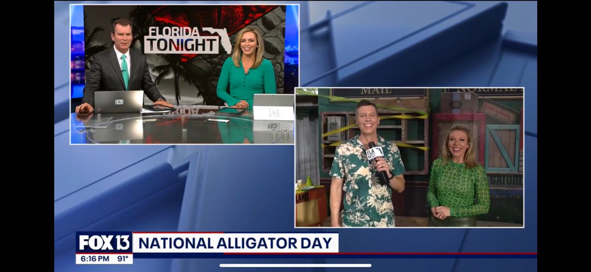 Allie Corey (@alliecoreyfox13) on Twitter photo MUST WATCH TV tonight <a href="/flatonight/">Florida Tonight</a> Chris & Haley are doing a baby gator gender reveal party AND how amazing is <a href="/HaleyHinds/">Haley Hinds FOX 13</a> top?! Watch out leopard, Haley is making gator skin in π <a href="/chriscato/">Chris Cato FOX 13</a> <a href="/MarkWilsonTV/">Mark Wilson FOX13</a> <a href="/FOX13News/">FOX 13 Tampa Bay</a> <a href="/Gatorland/">Gatorland Orlando</a> MUST WATCH TV tonight <a href="/flatonight/">Florida Tonight</a> Chris & Haley are doing a baby gator gender reveal party AND how amazing is <a href="/HaleyHinds/">Haley Hinds FOX 13</a> top?! Watch out leopard, Haley is making gator skin in π <a href="/chriscato/">Chris Cato FOX 13</a> <a href="/MarkWilsonTV/">Mark Wilson FOX13</a> <a href="/FOX13News/">FOX 13 Tampa Bay</a> <a href="/Gatorland/">Gatorland Orlando</a>