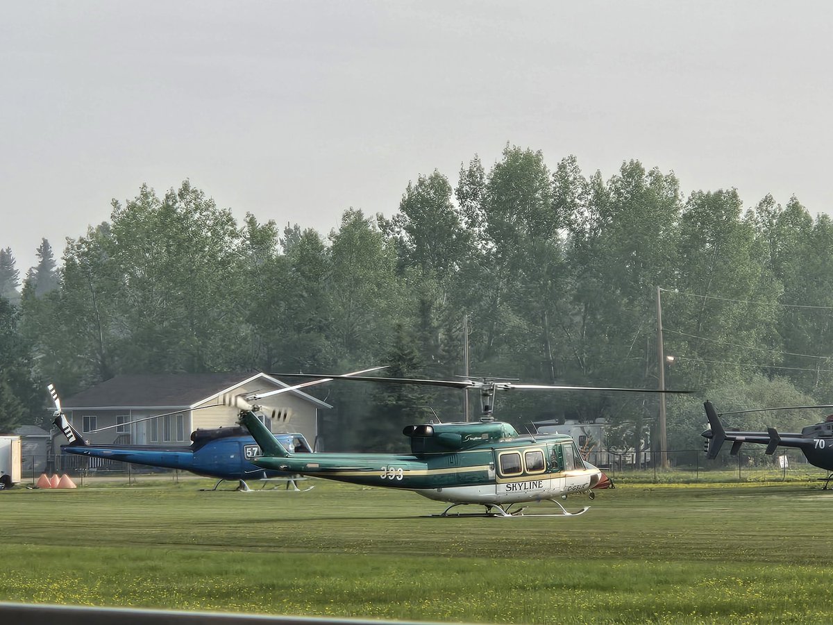 Crystal Trappchuk tweet media