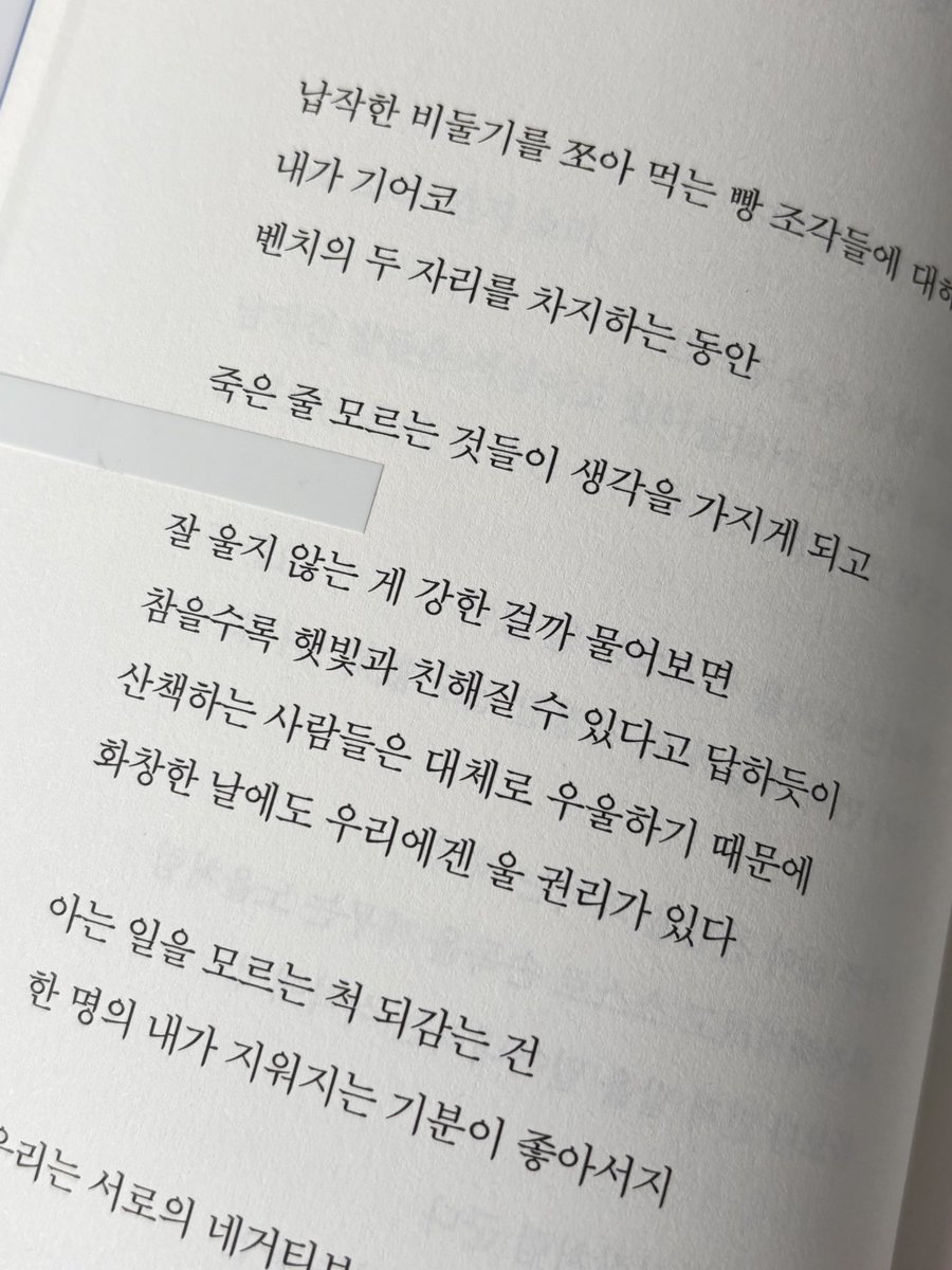 잘 울지 않는 게 강한 걸까 물어보면
참을수록 햇빛과 친해질 수 있다고ㅠ