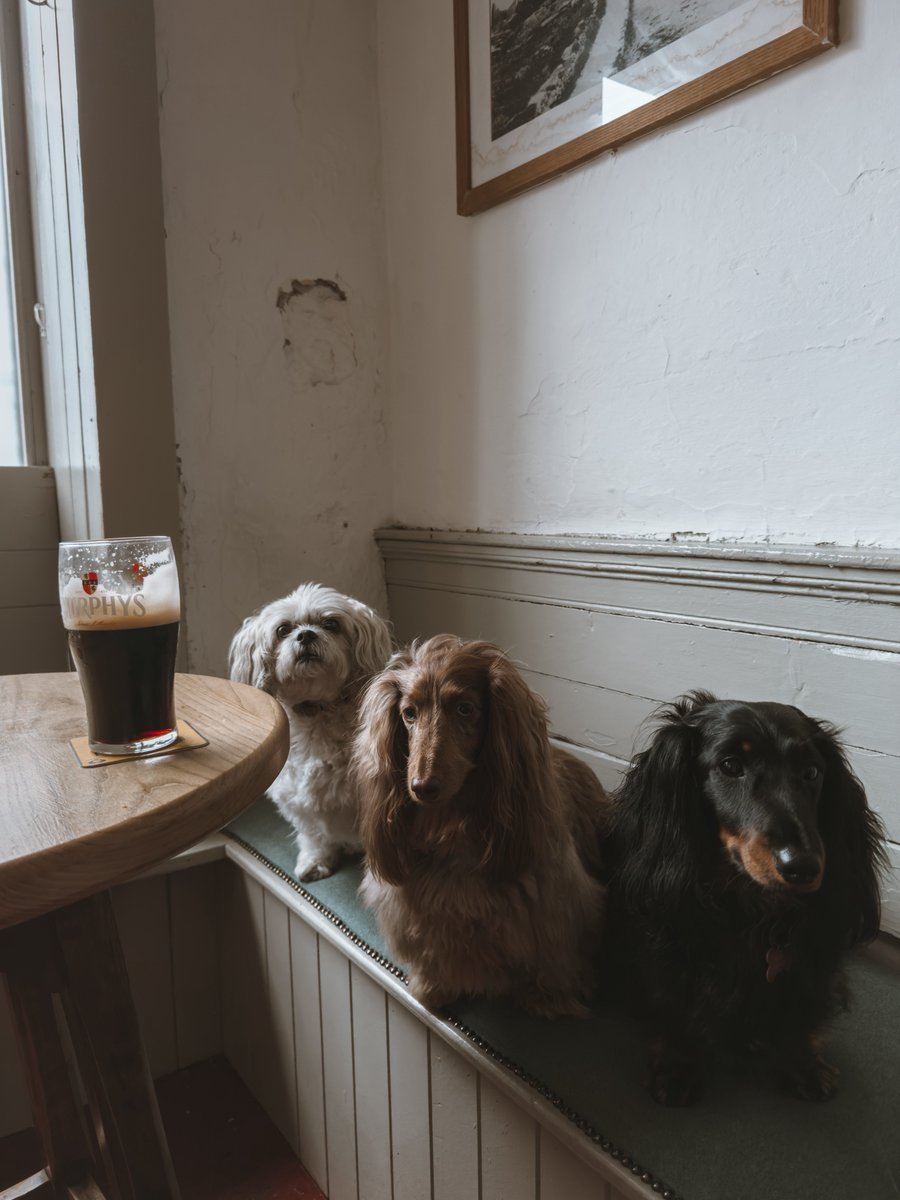 Pint-Sized Patrons in The Bold Corner 

Blackbird, Ballycotton