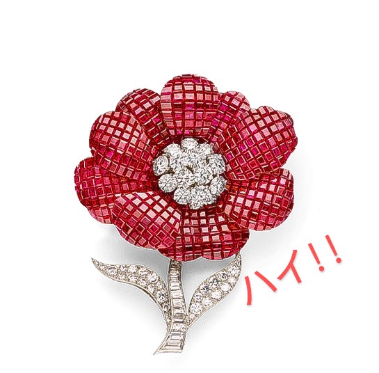 クラゲ tweet media