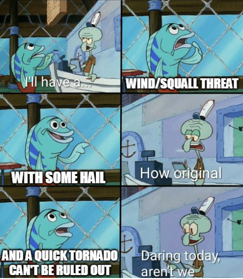 Severe days in the Carolinas be like: