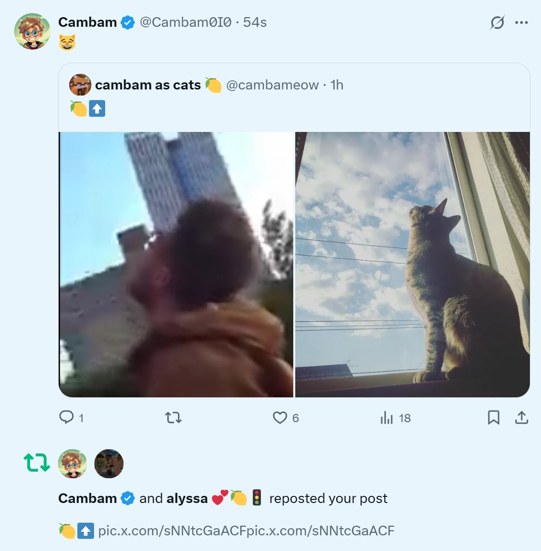 charlie 🌟 tweet media