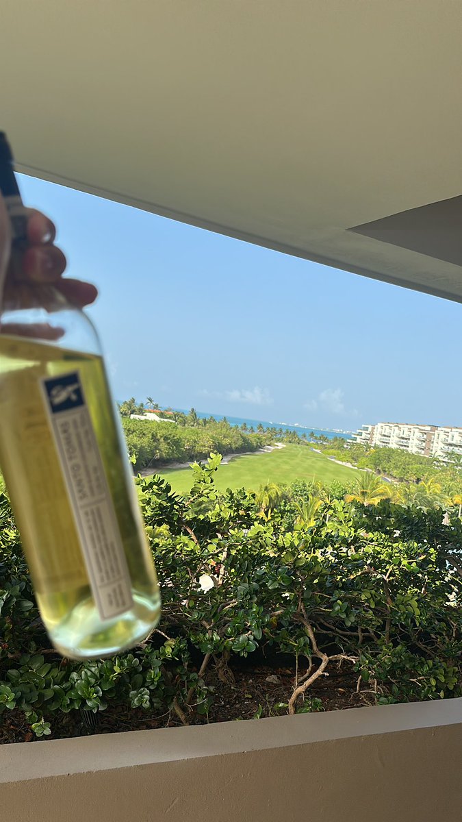 Noahcranky's tweet image. #freethrow