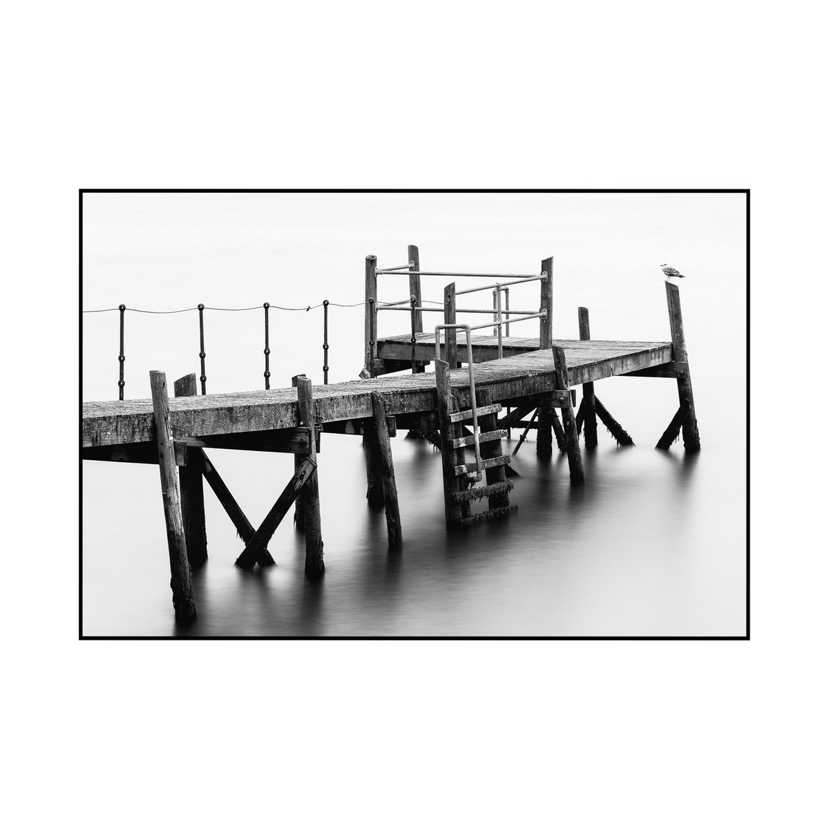 Photography Talks tweet media