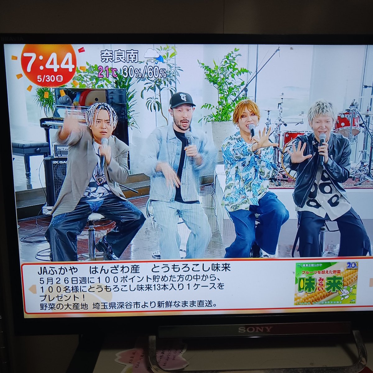 やっち on X: 