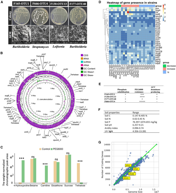 Prof Brajesh Singh tweet media
