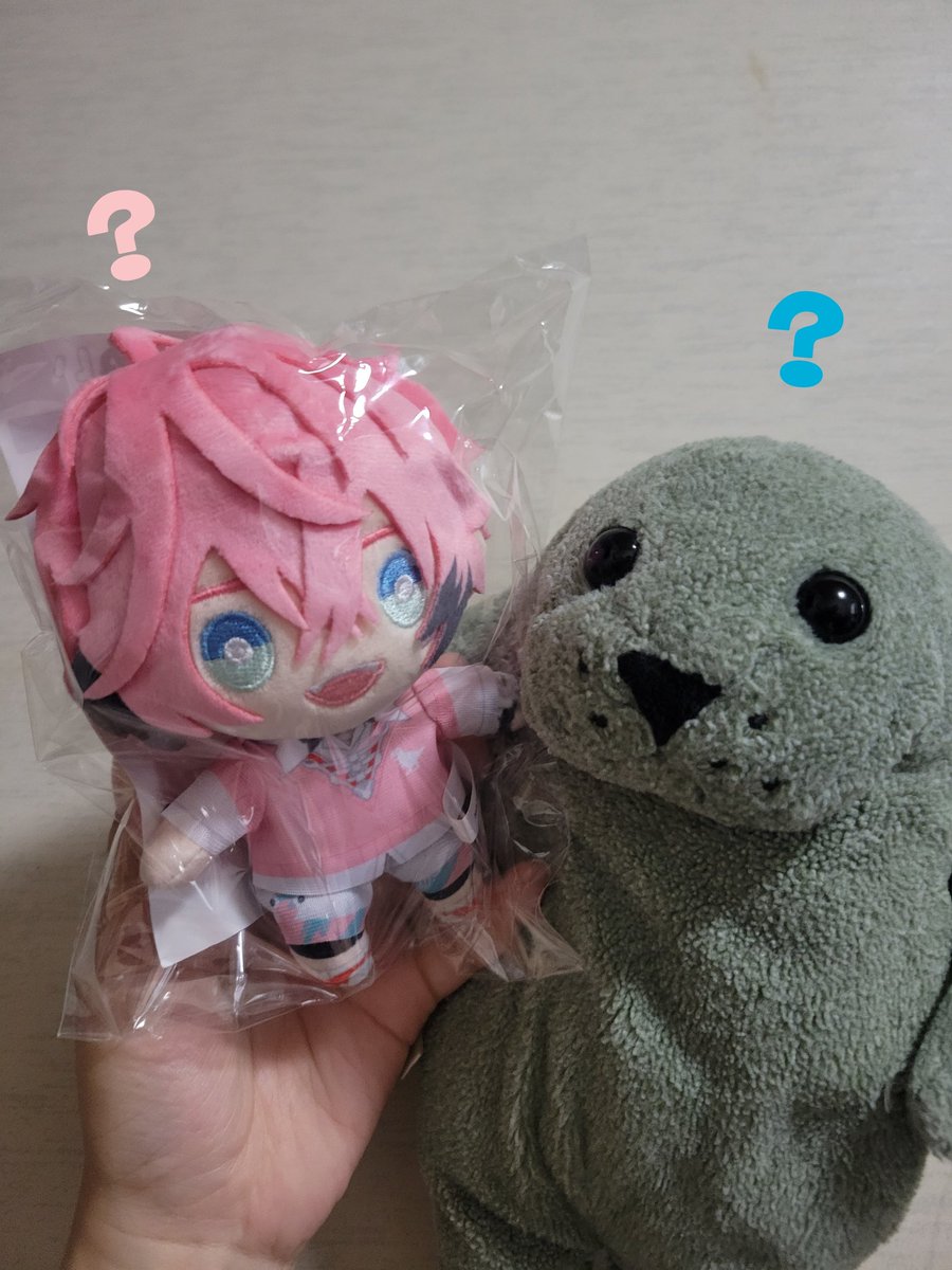 candy__closet's tweet photo. #アザラシにハテナマーク付けたら可愛い https://t.co/kYFUGGGLLU