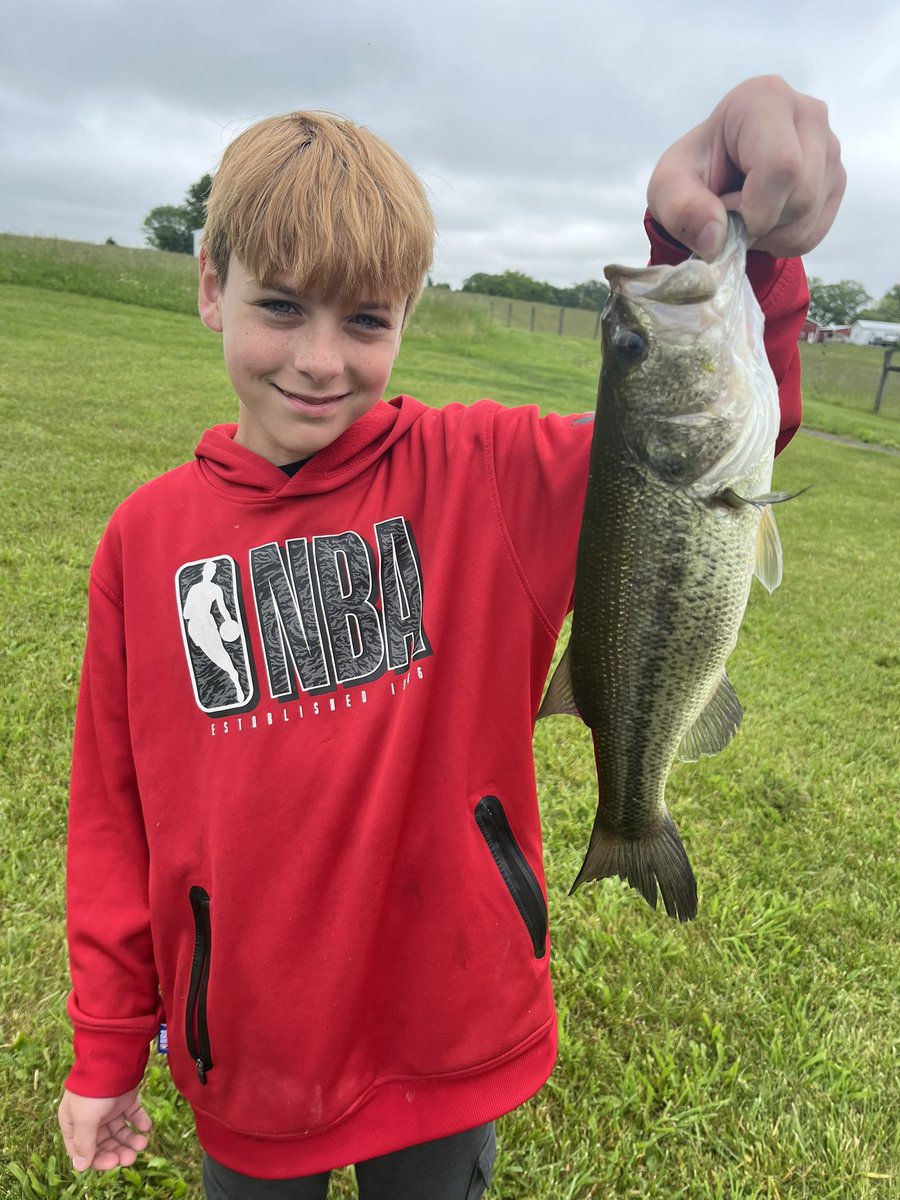 Lauren Whiteko tweet media