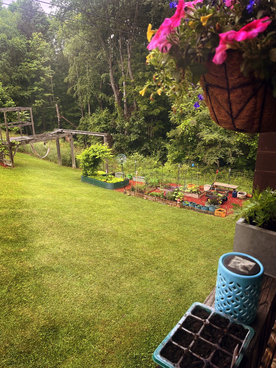 Won’t stop raining. Stuck on the porch all day. Garden digs it 🤷‍♂️