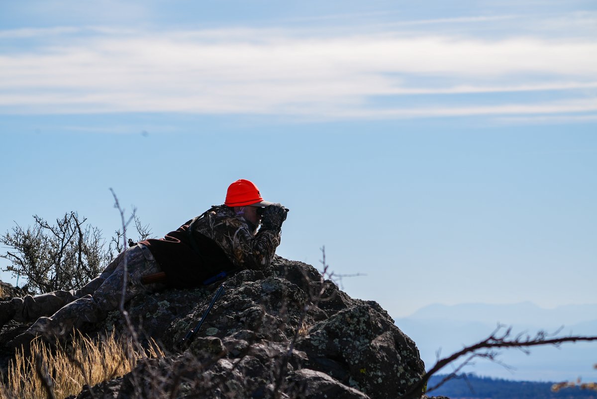 If you win a tag through our current 2025 Fall Hunt Draw, you can help our biologists! Just complete your hunter questionnaire. The info you provide is critical for setting hunt permit levels and maintaining robust hunt recommendations. Submit yours here: bit.ly/44eLAEa.