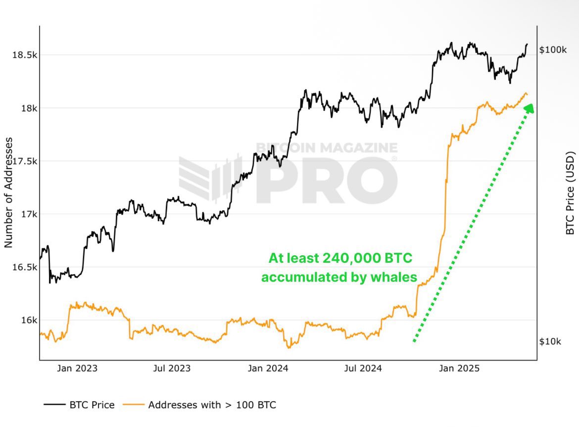 WHILE YOU ARE SCARED, WHALES ARE BUYING #BITCOIN LIKE NEVER SEEN BEFORE