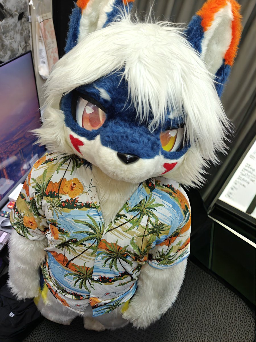 #FursuitFriday  ///  庫   米 ///
———————————— 🦊
葛格 你叫我咩 ? 
 丨- O^O ?
📸：KumiFox  ?