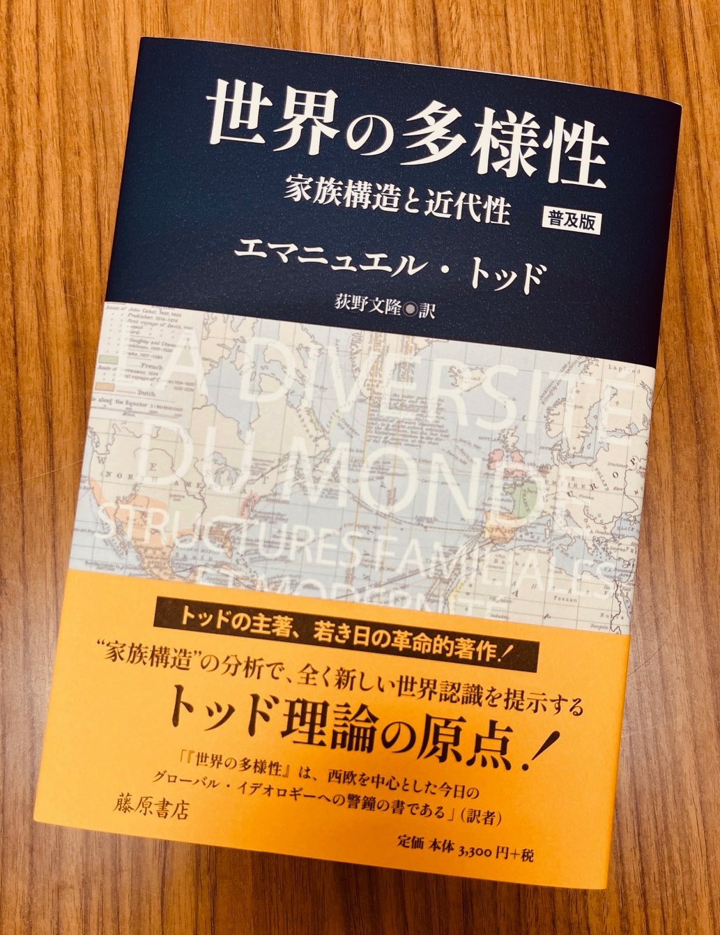 【初版☀︎帯/注文カード完備:美本】世界の多様性 家族構造と近代性　E.トッド 初版︎帯/注文カード完備:美本世界の多様性 家族構造と近代性 E