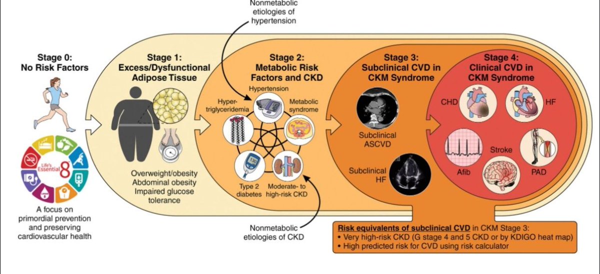 PreventScripts tweet media