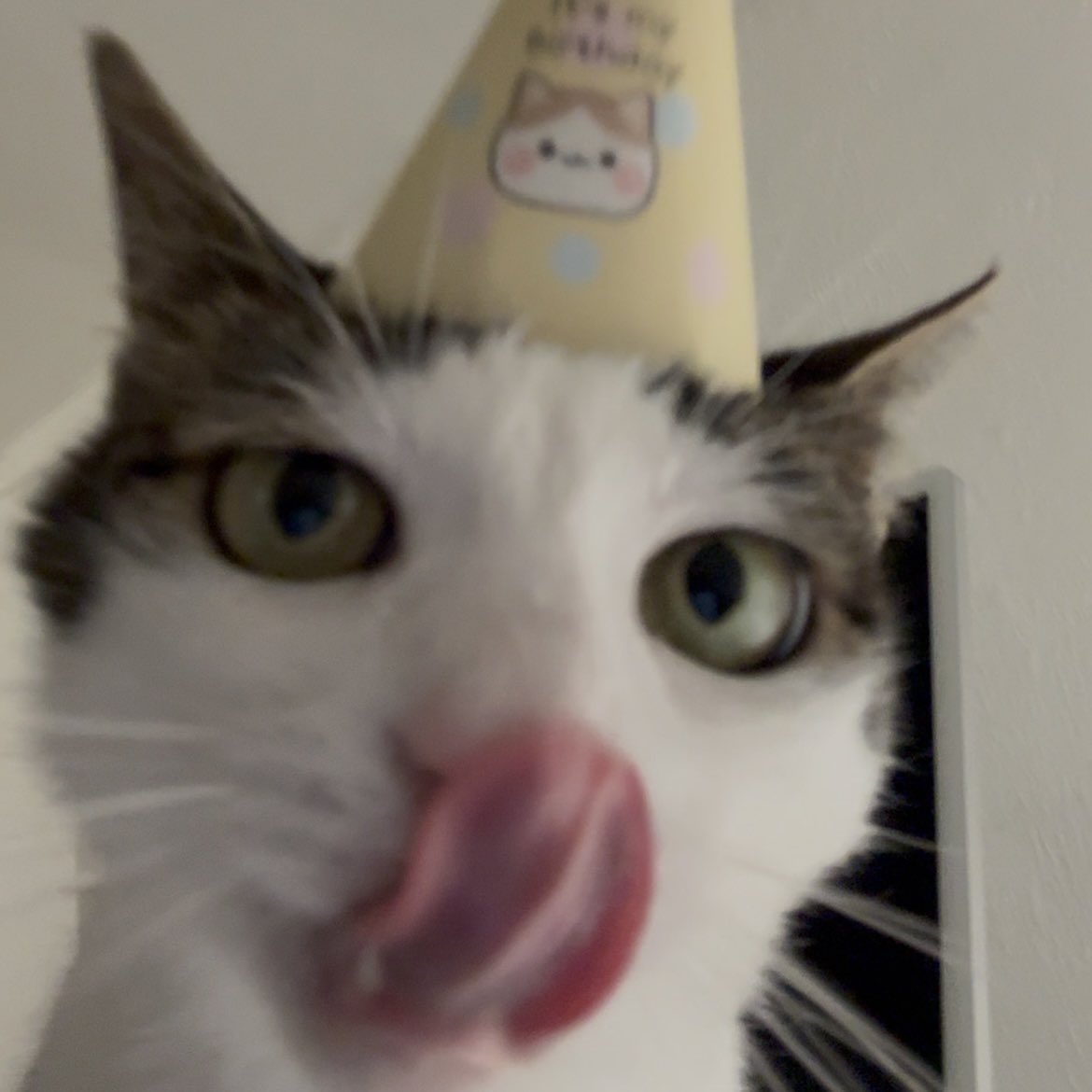 It‘s my Birthday !!🎈🥳