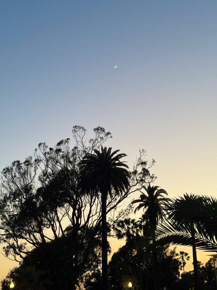 Waning Moon over Santa Monica 🌙