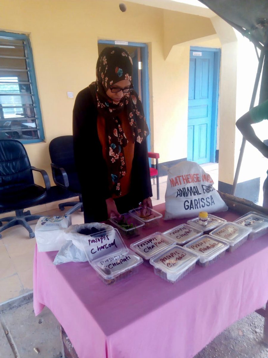 Did you know that Garissa County is transforming the invasive Mathenge tree into a food source? Residents are now using flour made from Prosopis juliflora to bake chapatis and mandazi, enhancing food security in the region.
🔗maarifa.cog.go.ke/county-initiat…
<a href="/GarissaGov/">Garissa County Gvt.</a> <a href="/KenyaGovernors/">Council of Governors</a>