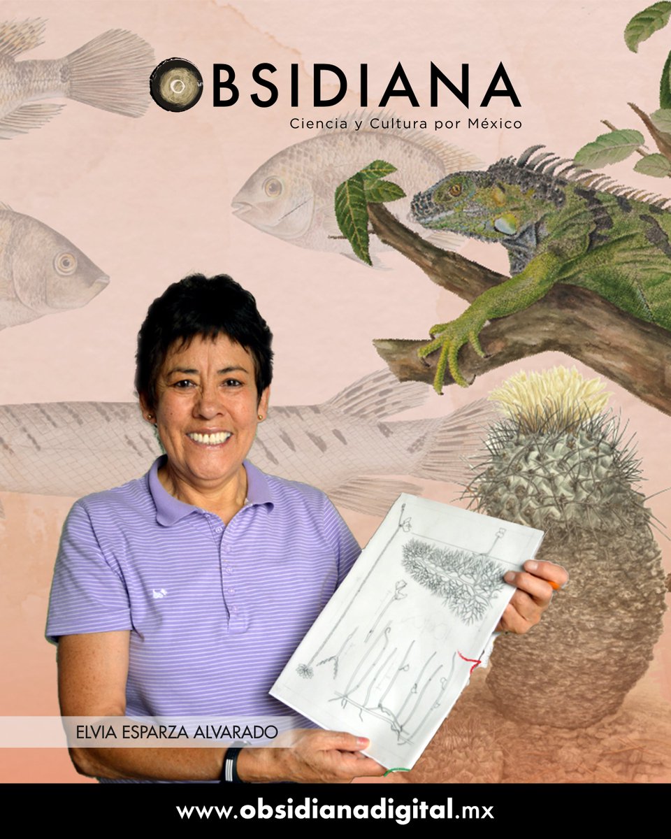 obsidiana_mex's tweet photo. 🖌️🎨Elvia Esparza Alvarado llegó casi por casualidad al mundo de la ilustración científica, pero su trabajo al capturar la esencia de la naturaleza ha sido reconocido por las instituciones más prestigiosas en arte botánico. ¡Conoce su arte!👉https://t.co/aaNH4c9fE4

#ArteyCiencia https://t.co/X8tOI1dfHT