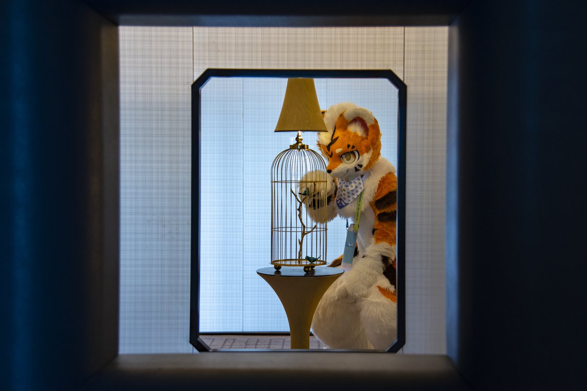 baicai_coin's tweet image. （戳戳）“这鸟怎么是假的啊”
毛替：@FoxKohaku
#FursuitFriday
