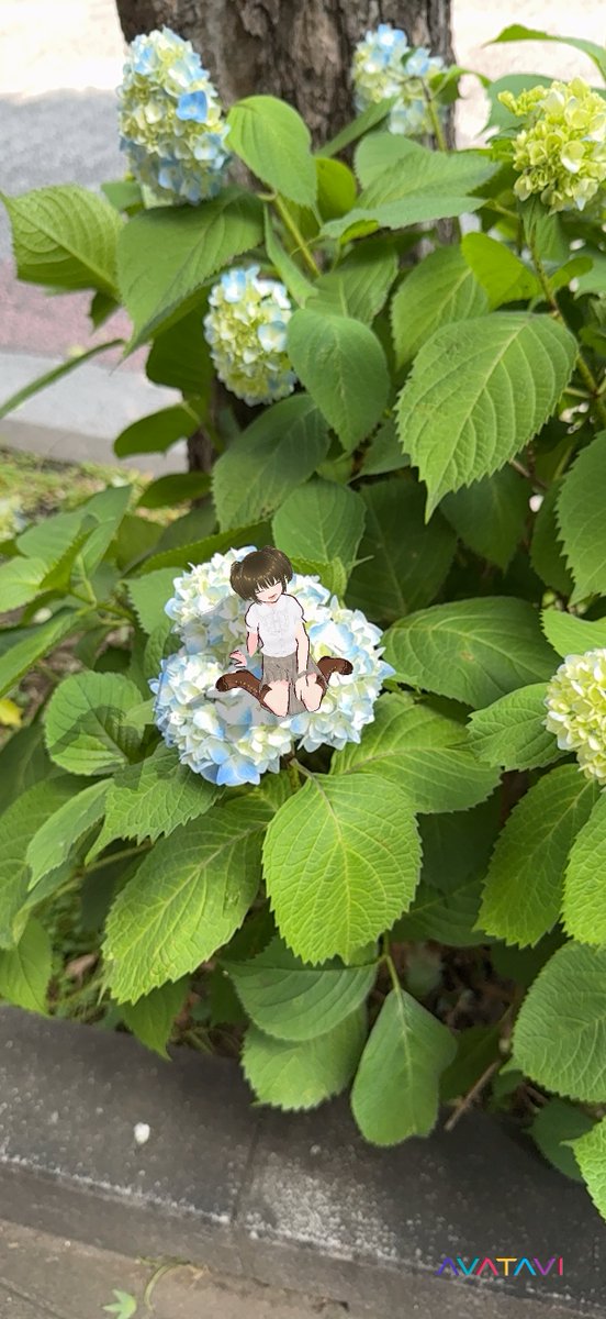 紫陽花の上にちょこんと☂️✨
アバタビしながらお散歩、雨の日もなんだか楽しいかも？
#AVATAVI #VRoid