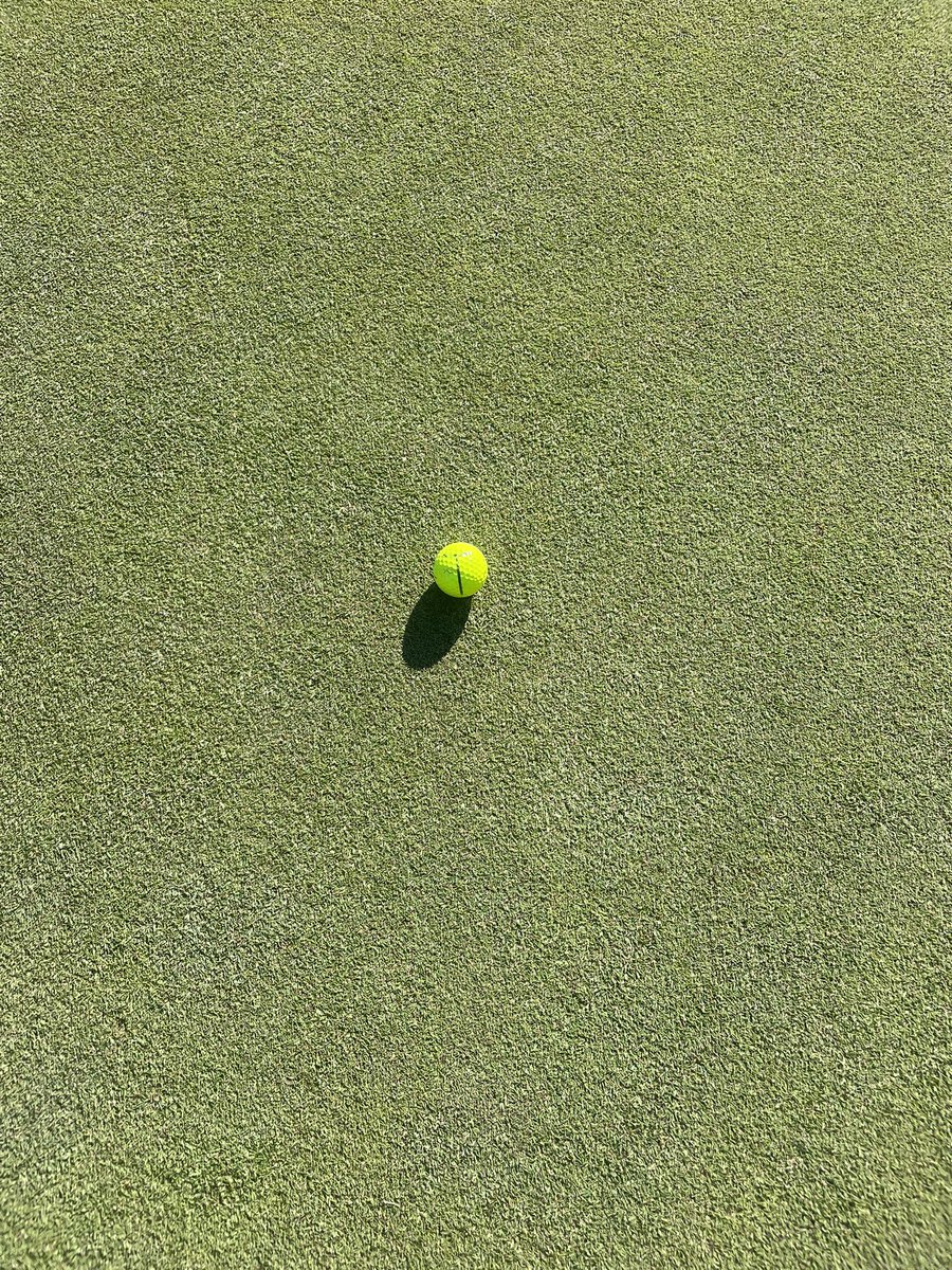 Ten year old Pure Distinction greens! So proud of my staff and members who made the renovation possible!!! They are so tight and true !! Cheers!!
