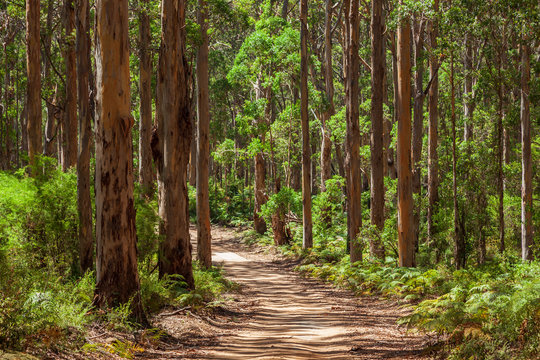 Western Sydney - HIE (@westsyduhie) on Twitter photo New research reveals the amount of carbon dioxide released by trees could be considerably less than predicted
Find out more: shorturl.at/myRAP
Read the article: science.org/doi/10.1126/sc…
<a href="/ianjwright1/">Ian Wright</a> New research reveals the amount of carbon dioxide released by trees could be considerably less than predicted
Find out more: shorturl.at/myRAP
Read the article: science.org/doi/10.1126/sc…
<a href="/ianjwright1/">Ian Wright</a>