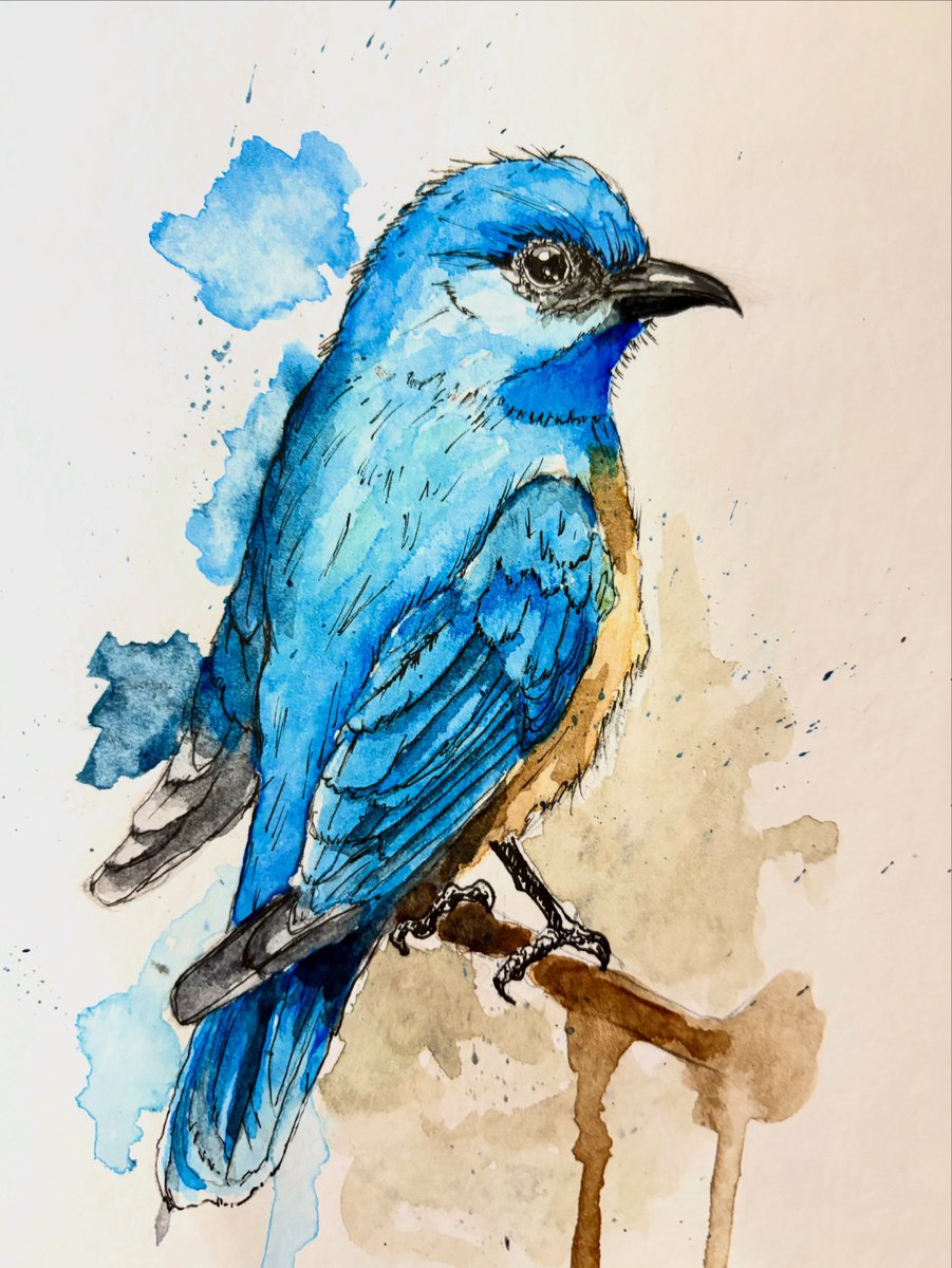 Rulini's tweet photo. Acuarelas un pajarito azul 🐦💙

#acuarelas #watercolor #dibujo #drawing #bird #pajaro #bluebird #鳥 #水彩画 #青 #azul #スケッチ #絵画 https://t.co/EMgeflv9yY