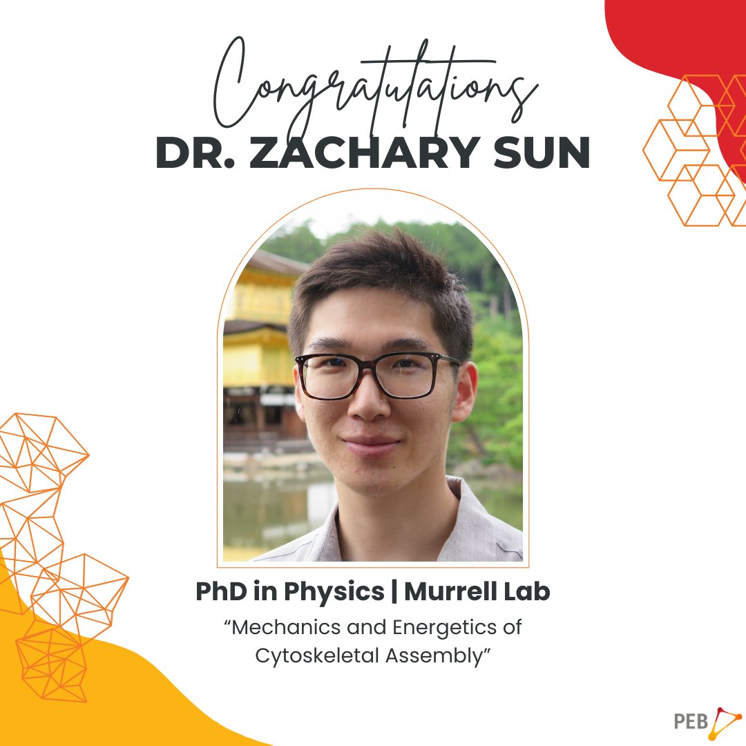 Yale Program in Physical and Engineering Biology tweet media