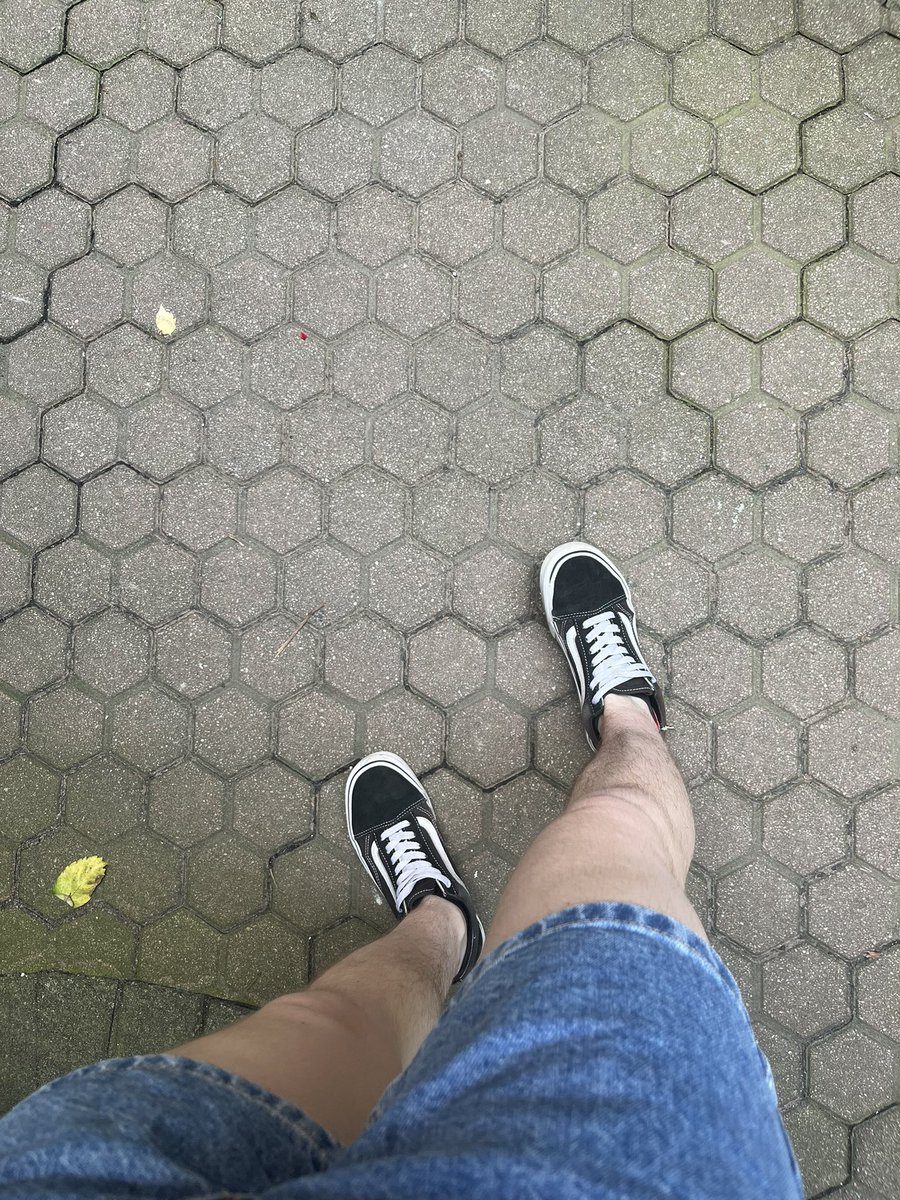lesballah's tweet photo. #noshavesummer https://t.co/i3LjMBgUnY