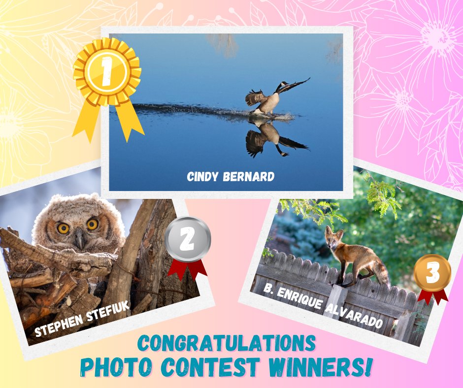 Congratulations to our Leave No Trace Spring Photography Contest winners!

🥇  Grand Prize Winner - Cindy Bernard
🥈  Second Place - Stephen Stefiuk
🥉  Third Place - B. Enrique Alvarado

Learn more about the #LNT initiative and how you can do your part at lnt.org