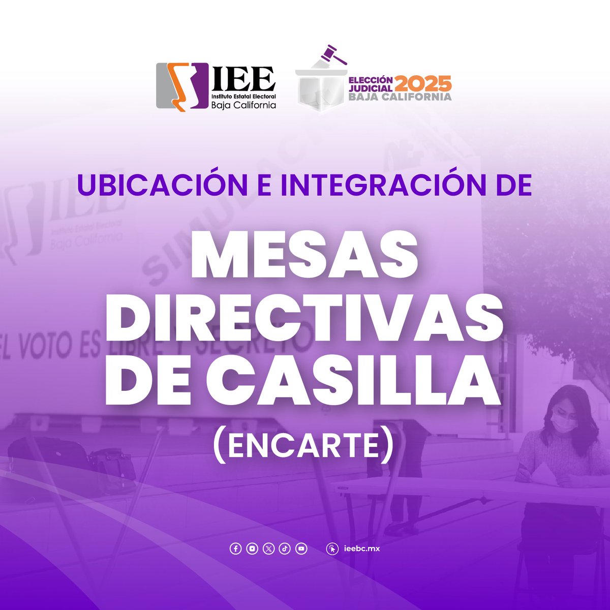 📍 ¡Consulta dónde votar! 🗳️
El #IEEBC te informa que ya está disponible el Listado de Ubicación de Casillas actualizado para el Proceso Electoral Local Extraordinario 2025.

Consulta el listado completo aquí 👇
ieebc.mx/archivos/ubica…