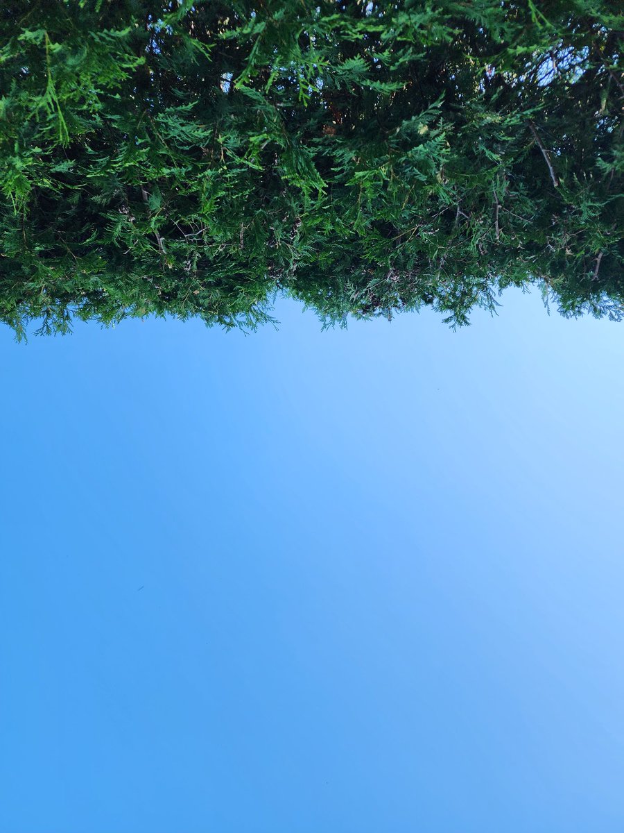 Brian cornect (@modernclassic99) on Twitter photo 