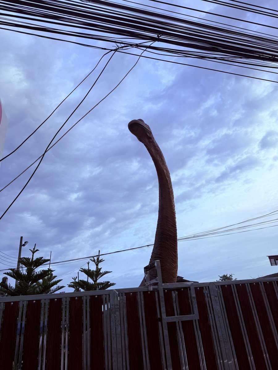 JusssTony's tweet image. Early morning walk a humid start to the day and still not confined to the apartment due to heavy rain 🤞

Soi dog waiting for breakfast from the chicken stall 🤣

Dino 🦕 stretching his neck 

Enjoy your day ✌️

#MorningWalk 
#RandomPics