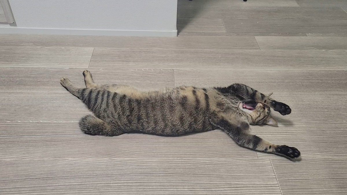 幸せそうで花まるあげたい💮