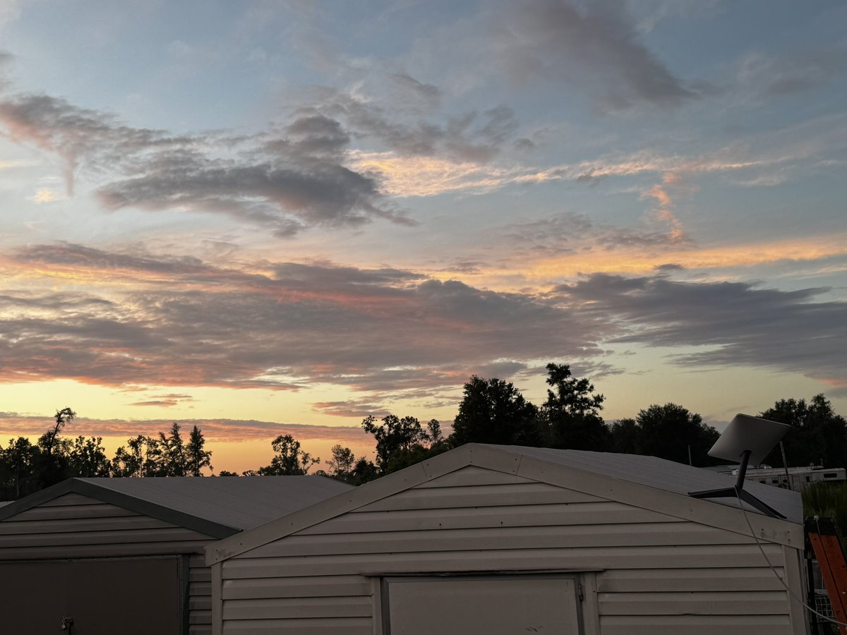 Fredov360LKN's tweet image. My beautiful home #liveoak #northflorida #LGM #NewYorkForever