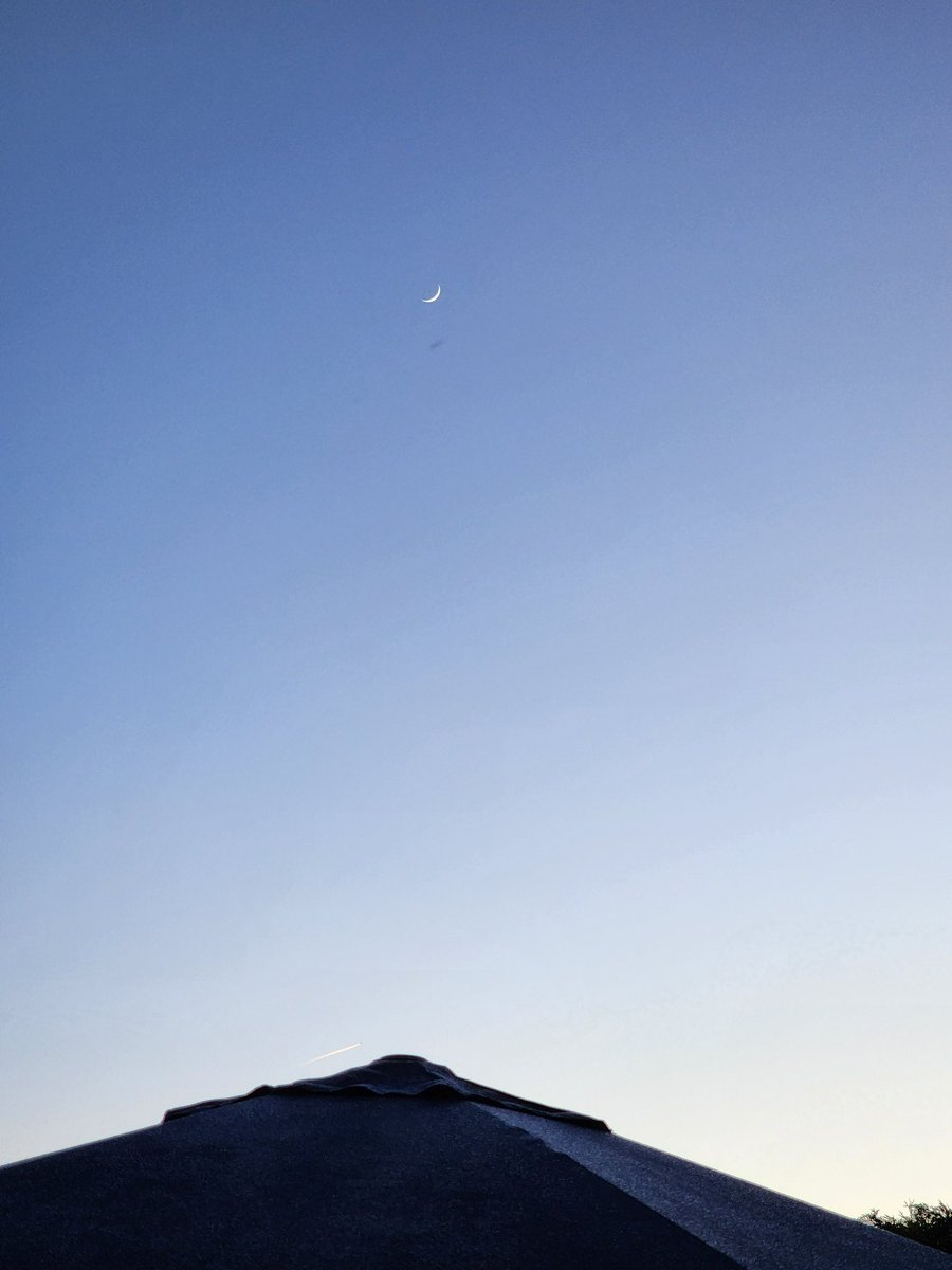 Brian cornect (@modernclassic99) on Twitter photo 