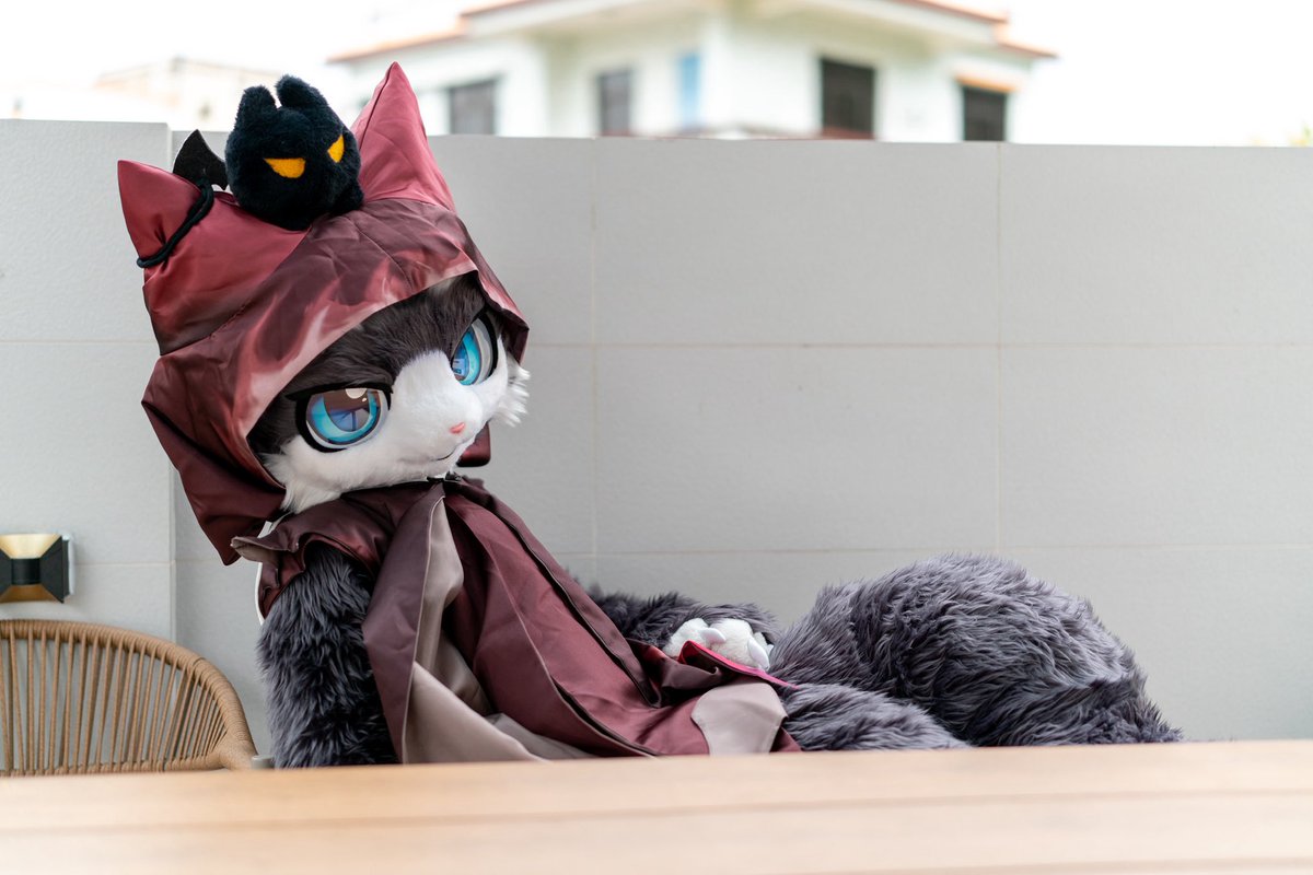 早呀～

#FursuitFriday 
📷：小华