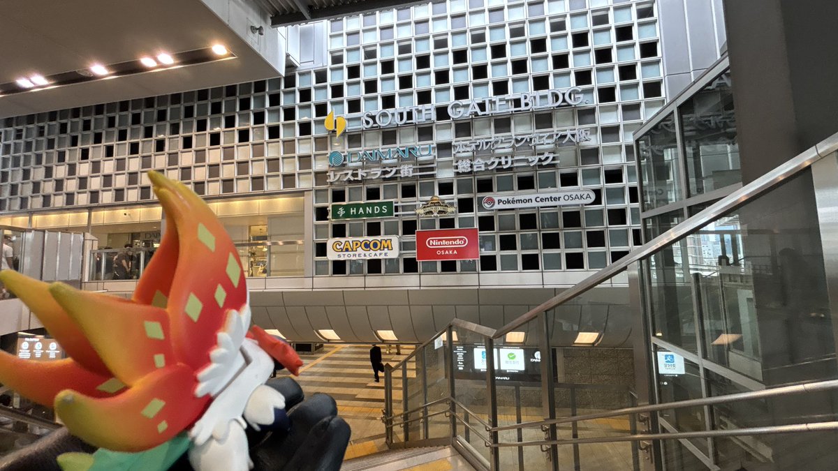 旅するハネ (@tabisuru_hane) on Twitter photo 