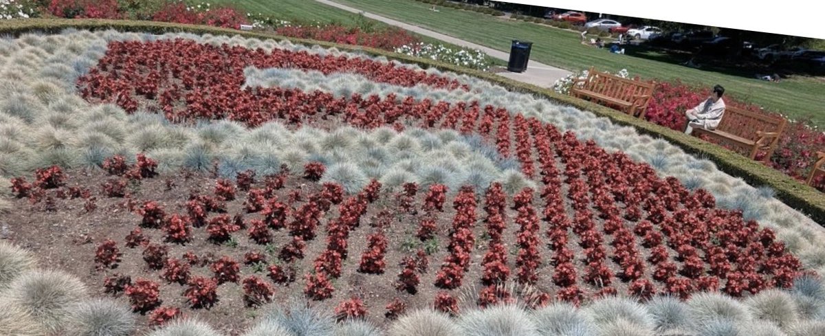 ☀️ amazing campus #stanford