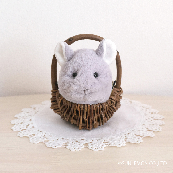 sunlemon_staff's tweet image. シンデレラフィット！

#サンレモン　#チンチラ　＃babyanimals
#ベイビーアニマルズ　＃ぬいぐるみ