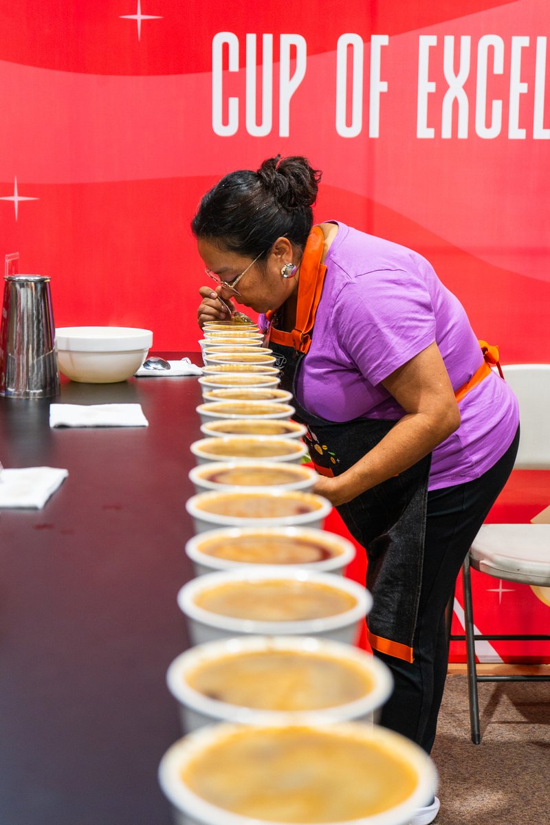 #CupOfExcellence | Del 26 al 30 de mayo, el panel de 10 catadores nacionales junto al juez líder Ricky Dyson, están evaluando los 89 lotes que clasificaron a la Competencia Nacional del Programa Cup of Excellence Guatemala 2025 ☕🇬🇹

#CafédeGuatemala #GuatemalanCoffees