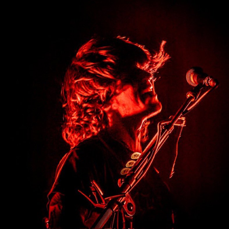 hippo campus updates tweet media