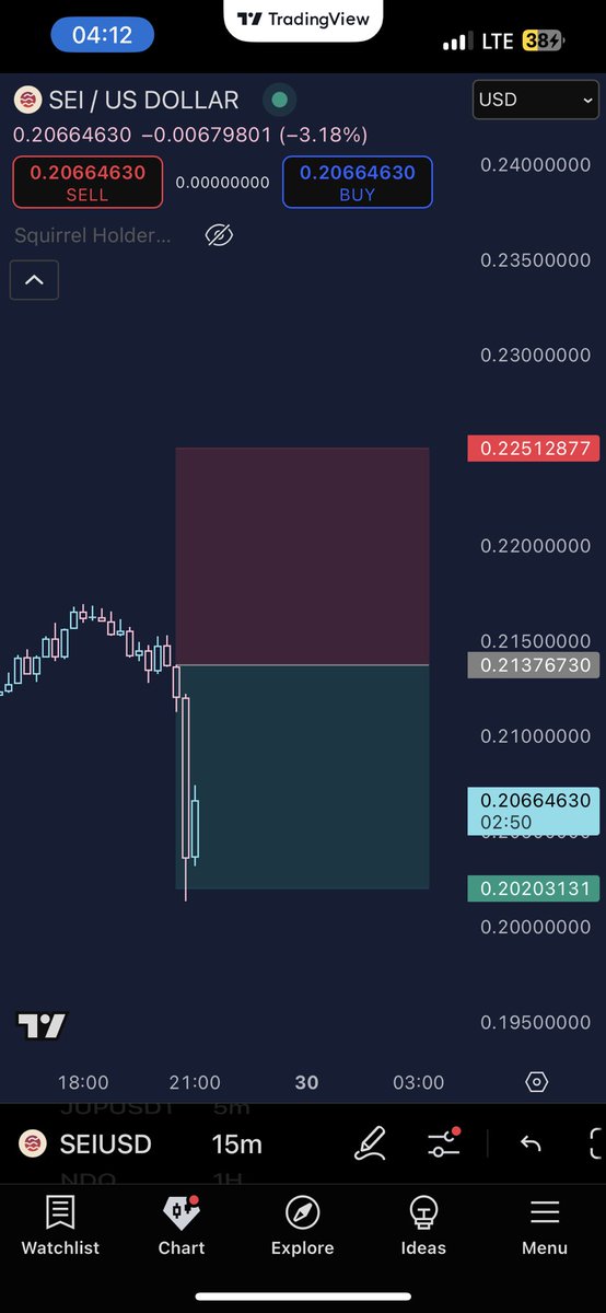 squirrelllllll capital only