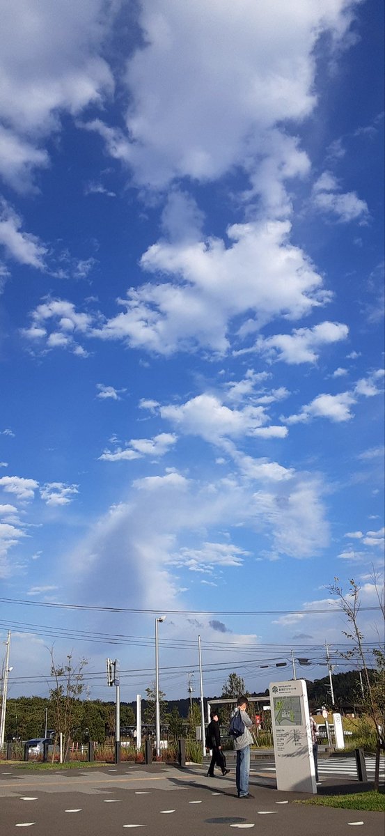 さすらい - Search / X