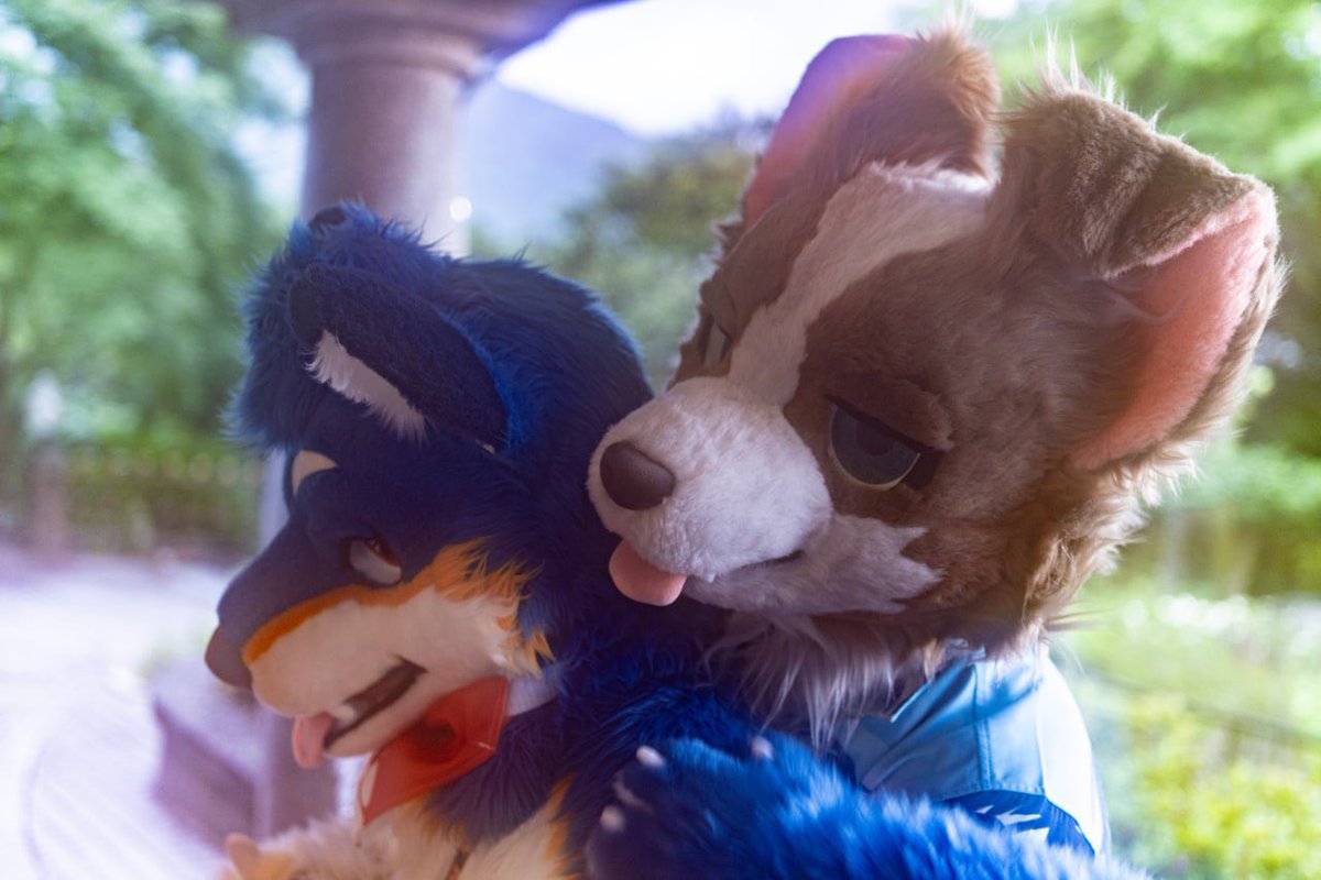 It’s supposed to be a romantic (?) scene

🐺 <a href="/LarsHagrid/">LarsHagrid</a> 
📸 天狐 (FB)
#FursuitFriday