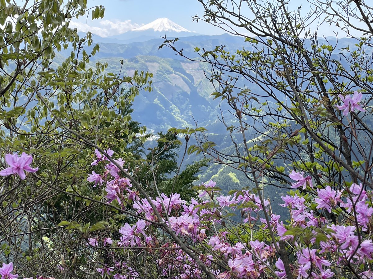 jtekt_ele's tweet photo. 東京の奥多摩は自然がいっぱい🌿✨
人気の高尾山以外にも魅力的な山がたくさんあります！奥多摩で唯一の200名山・大岳山（おおたけさん）に登ってきました⛰️ 遠くに富士山も望めて絶景でした🗻✨ ゴールデンウィークの思い出、ちょっと前のお話です😊
#登山部
#製造業 
#企業公式相互フォロー
#奥多摩
#大岳山
#富士山