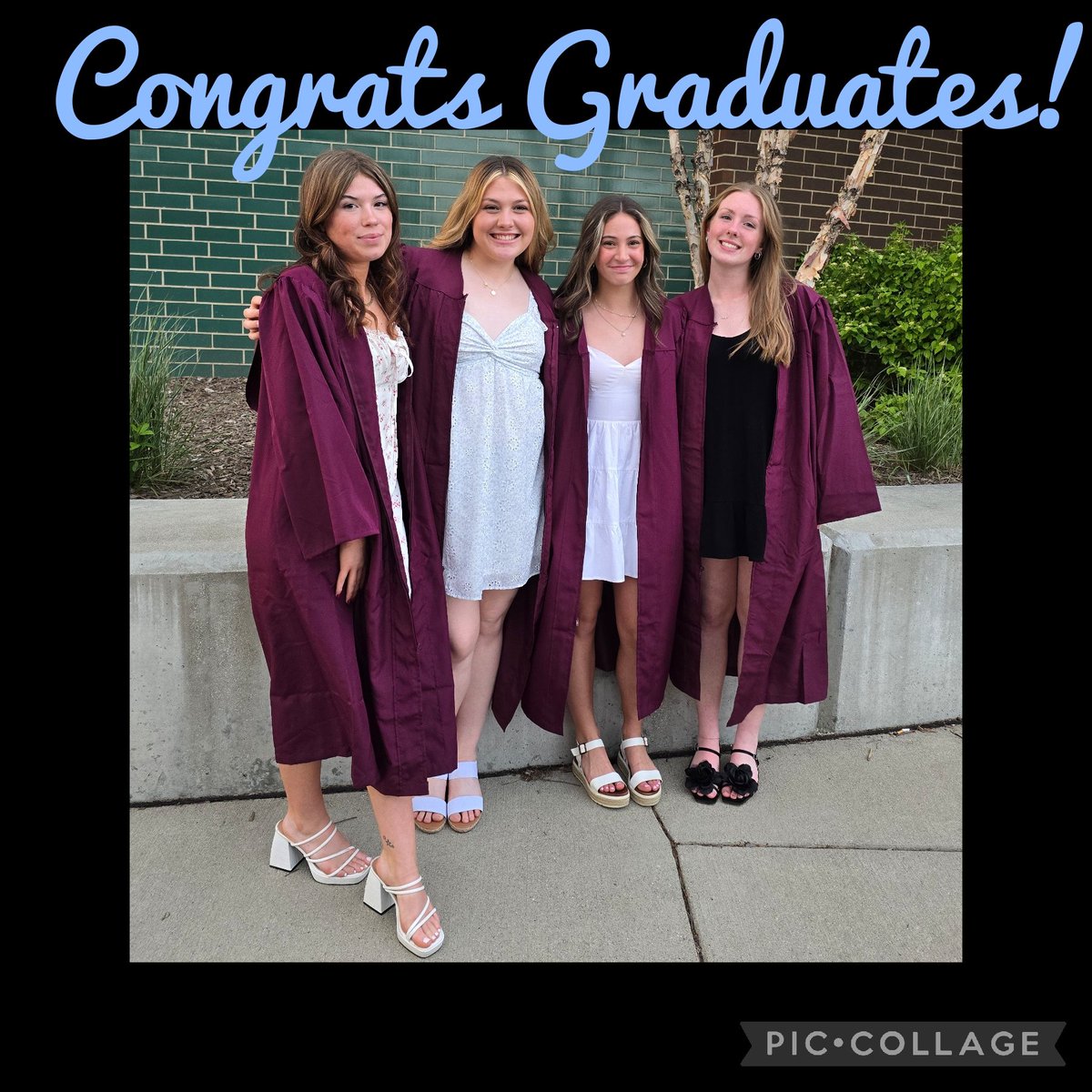 Okemos Wolves Softball tweet media