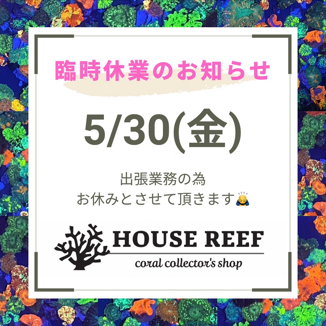 誠に勝手ながら本日臨時休業とさせて頂きます🙏