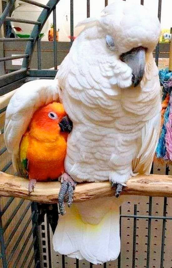 7he0th3r's tweet image. This is them to me. #ElizabethShaw #TheLastEngineer #Prometheus2012 In a world that David didn&apos;t beef and piss off the 10ft man that just woke up. Also, how are they meant to be 10ft? I always cut  him to 8ft at max cuz holy shit-